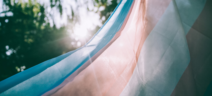 Trans pride flag